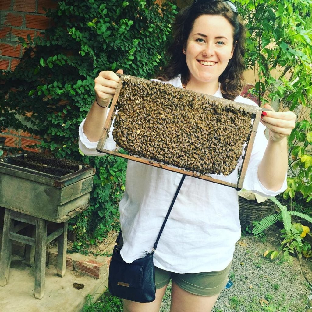 Tìm hiểu nghề nuôi mật ong của người dân